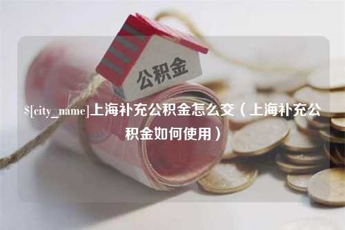 合肥上海补充公积金怎么交（上海补充公积金如何使用）